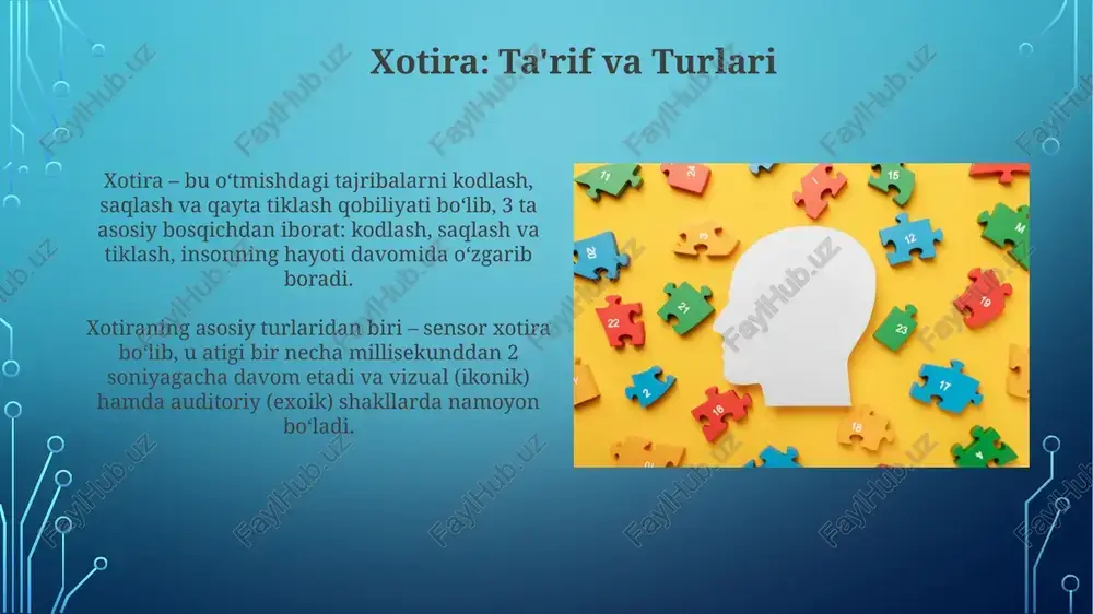 xotira - Page 3
