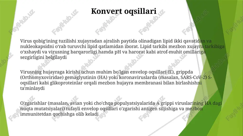 nza (h1n1) va oiv-1 kabi viruslarning ko'payishi uchun zarur bo'lgan fermentlar (masalan, rdrp va rt) ko'plab antiviral dorilarning, jumladan oseltamivir (tamiflu)ning nishonidir. kapsid oqsillari (poliomiyelit virusida vp1-vp4) yoki matritsa oqsillari (a grippi virusida m1) viron shakli va barqarorligini belgilaydi matritsa oqsillari virus zarrachasi ichidagi matritsa oqsillarning fazoviy joylashuvi uning umumiy tuzilmaviy yaxlitligini belgilaydi. masalan, gripp virusidagi m1 oqsilining aniq oʻzaro taʼsiri virus membranasining egriligini aniqlaydi va avlod virionlarining chiqarilishini taʼsir qiladi matritsa oqsillari (masalan, a grippi virusidagi m1, m2; retroviruslardagi gag, pol, env) virion yig'ilishida, kurtaklanishda (masalan, plazma membranasida) va virus tuzilmasining umumiy barqarorligida muhim ahamiyatga ega viroidlar virus ko'payishi: virus genomi mezbon hujayraga kiradi; hujayra mexanizmlarini egallaydi. virus genlari mrna ga transkripsiyasi; virus oqsillariga translyasiyasi. virus genomining ko'payishi; yangi virionlarning yig'ilishi; liz yoki kurtaklanish (qobiqli viruslar) orqali chiqishi virus tuzilishi: genetik material (dnk yoki rnk), kapsid (oqsil qobiq) va ba'zan envelop (lipid qavat)dan iborat. kapsomeralardan hosil bo'lgan kapsid; ikosaedral, …