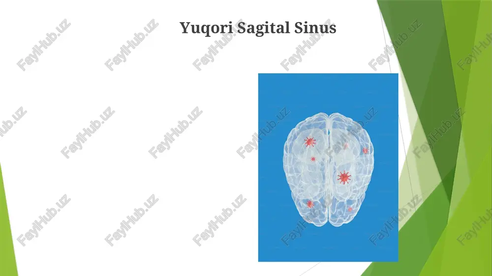 muhim anastomoz – uillis doirasi sfenoparietal sinuslar: bosh suyagining sfenoparietal yorig'ida joylashgan, juft, mayda tomir kanallari bo'lib, miyaga tutash hududlar va meninkslardan qonni g'orsimon sinuslarga, sfenoid suyakning katta qanoti yaqiniga oqizadi. ko'pincha 1 sm dan kam uzunlikda. ko'ndalang sinuslar ko'ndalang sinuslar: oksipital suyak ichida, sigmoid sinuslardan yuqorida joylashgan, juftlashgan intrakranial venoz sinuslarning eng kattasi bo'lib, yuqori sagittal sinus va oksipital sinuslardan qonni yugular foramen orqali ichki yugular venalarga oqizadi. yuqori va pastki petroz sinuslari ham qon oqimiga hissa qo'shadi. sigmoid sinuslar oksipital sinus miyada qon to'playdigan sinuslar: yuqori sagittal sinus, pastki sagittal sinus, to'g'ri sinus, ko'ndalang sinuslar (ikki tomonlama), sigmoid sinuslar (ikki tomonlama), g'orsimon sinuslar (ikki tomonlama), yuqori petroz sinuslar (ikki tomonlama), pastki petroz sinuslar (ikki tomonlama), sfenoparietal sinus miyada qon tomirlari: willis doirasi (oldingi serebral arteriya, orqa serebral arteriya, oldingi bogʻlovchi arteriya, orqa bogʻlovchi arteriya, ichki uyqu arteriyasi), oʻrta serebral arteriya, oldingi serebral arteriya miyada asosiy hududlarni ta'minlaydi e'tiboringiz …