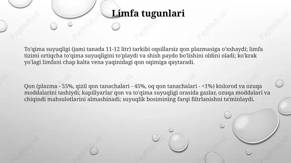 asalan, oyoqlardagi limfa kapillyarlaridan) to'qima suyuqligini yig'adi. limfa tugunlari (masalan, qo'ltiq osti va bo'yin tugunlari) limfani filtrlaydi, patogenlarni (bakteriyalar, viruslar) va hujayra qoldiqlarini olib tashlaydi qon ivish 13 ta ivish omili (masalan, fibrinogen, trombin) ning ichki/tashqi yo'llar orqali kaskadli jarayoni orqali amalga oshadi, qo'lning yara kabi jarohat joylarida fibrin to'rini hosil qiladi va qon ketishini bir necha daqiqada to'xtatadi. trombotsitlar yig'ilib, tıkaç hosil qiladi oq qon tanachalari qon, biriktiruvchi to'qima, oq qon tanachalarini butun tanaga tashiydi; taxminan 55% plazma (suv, oqsillar va h.k qon aylanishi to'qima suyuqligi (11-12l) hujayralarni o'rab oladi, ozuqa moddalari (glyukoza, aminokislotalar) va chiqindilar (co2, siydikchala) almashinuvida ishtirok etadi. limfa kapillyarlari ortiqcha suyuqlikni yutib, limfa hosil qiladi (kuniga 2-3 l) qon tarkibiy qismlari: plazma (55%, suv, oqsillar), qizil qon tanachalari (eritrotsitlar, 45%, gemoglobin, kislorod tashish), oq qon tanachalari (leykotsitlar, <1%, immun funksiyasi: neytrofillar, limfotsitlar), trombotsitlar (<1%, ivish). limfa: plazmaga o'xshash, lekin oqsil konsentratsiyasi pastroq; limfotsitlar, immun hujayralar …