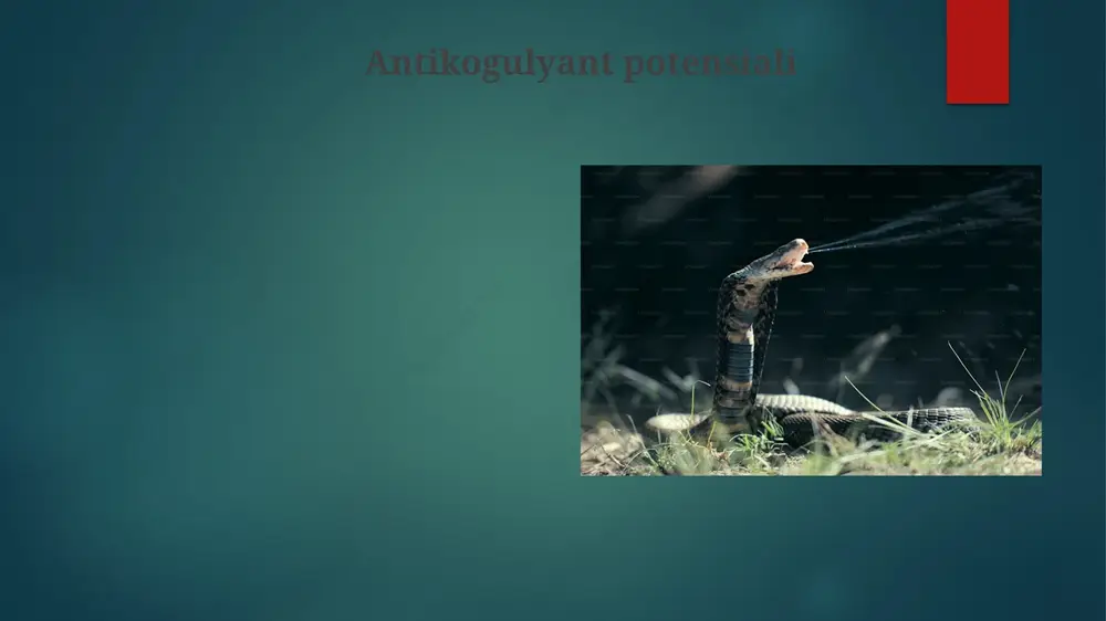 ab chiqishga yordam beradi. braziliyaning san-paulo shahridagi tadqiqot guruhlari bu toksinlarni terapevtik qo'llanmalar uchun tavsiflashmoqda. e'tiboringiz uchun rahmat @taqdimot_robot image6.jpg image7.jpg image8.jpg image9.jpg image10.jpg image11.jpg image12.jpg image13.jpg image14.jpg image15.jpg image16.jpg image17.jpg image18.jpg image2.png image3.png image4.png image5.png