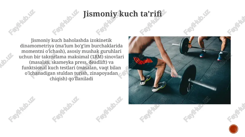 jismoniy kuch ta'rifi - Page 3
