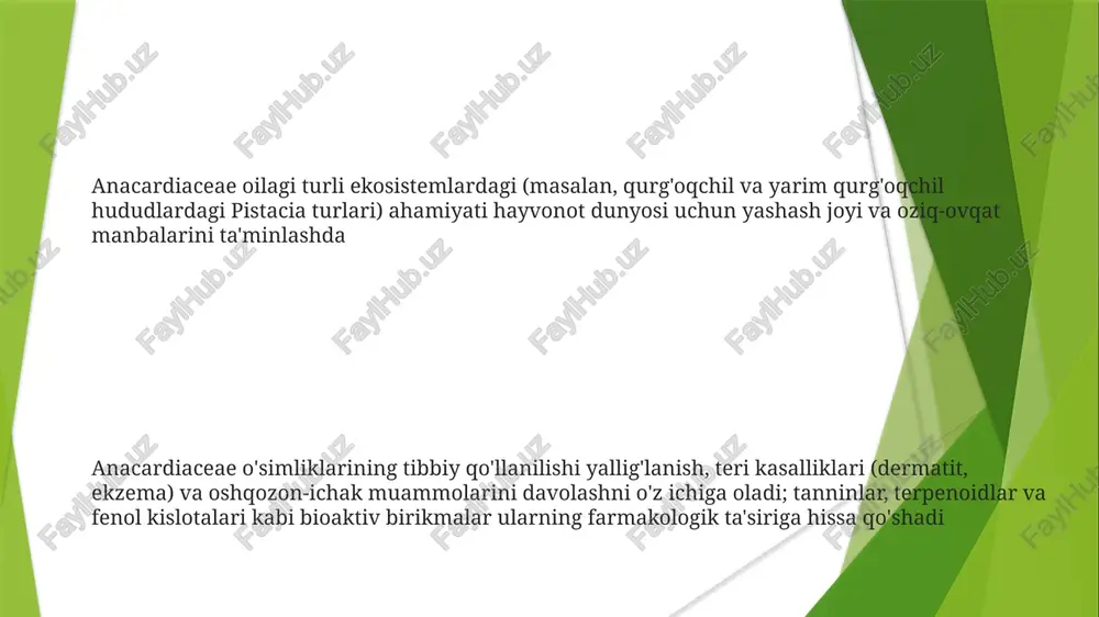 a'zolari, ayniqsa, an'anaviy tibbiyot tizimlarida shunga o'xshash qo'llanilishlarga ega pistakiyaning shifobaxsh xususiyatlari ahamiyati va kelajak istiqbollari anacardiaceae oila ekologiyasi anacardiaceae oilasining, xususan pistacia turining (masalan, p. lentiscus qatroni an'anaviy tibbiyotda) tibbiy qo'llanilishi; anacardiaceae ikkilamchi metabolitlari (masalan, taninlar, terpenoidlar) antimikrobial, antioksidant, yallig'lanishga qarshi xususiyatlarga ega bo'lib, inson salomatligiga ta'sir ko'rsatadi; jahon miqyosida farmakologik tadqiqotlar olib borilmoqda. anacardiaceae oilasi, taxminan 80 ga yaqin turkum va 800 dan ortiq turni o'z ichiga oladi, turli ekologik strategiyalarni namoyish etadi; tropik/subtropik hududlar ustunlik qiladi, qurg'oqchil va yarim qurg'oqchil hududlarda (masalan, o'rtayer dengizi, yaqin sharq) sezilarli darajada mavjud taksonomiya va filogeniya pistacia (masalan, p. vera, pista; p pistacia turlarining ekologiyasi iqlim (o'rtayer dengizi, mo''tadil) ta'sirida; iqtisodiy ahamiyati (kalyforniya, eron, turkiyadagi pista yetishtirish); muhofaza muammolari (yashash joylarining yo'qolishi, ortiqcha yaylov); filogenetik tahlillar turlarni diversifikatsiyasi va biogeografiyasini tushunish uchun muhim (masalan, bayes xulosasi usullari). anacardiaceae oilasining saqlanish holati ekologiya va ahamiyati: anacardiaceae turli muhitlarda (masalan, quruq o'rmonlar, o'rmonzorlar, …