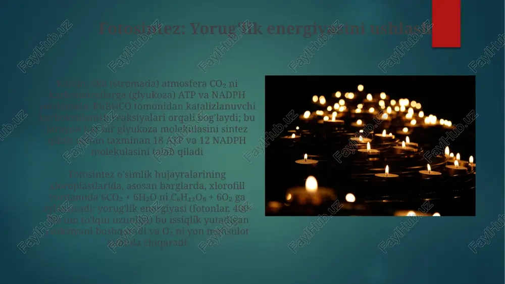 ni (joule) bildiradi mutlaq nol haqidagi uchinchi qonun: muvozanat kristallning entropiyasi mutlaq nolga (0 kelvin yoki -273,15°c) yaqinlashganda nolga yaqinlashadi. bu temperatura uchun quyi chegarani belgilaydi va termodinamika hisob-kitoblari uchun standart referent nuqtasini aniqlashga yordam beradi. mutlaq nolga erishish nazariy jihatdan imkonsiz energiya turlari quyosh nuri (380-750 nm to'lqin uzunligi) kabi nurli energiya fotosintezni ta'minlab, yiliga 150 pg organik uglerod hosil qiladi; butun dunyo bo'yicha o'simliklarda yorug'lik energiyasi kimyoviy energiyaga aylanadi. issiqlik energiyasi (joule (j) yoki kaloriyalar (cal) da o'lchanadi) atmosfera aylanishini (hedli hujayralari, qutb vorteksini) boshqaradi; 1000 kaloriy 1 kk kaloriga teng; yerning ichki issiqligi (geotermal energiya) yelloustoun kabi issiq nuqtalarda vulkanizmni ta'minlaydi. yangilayotgan energiya manbalari qayta tiklanmaydigan energiya manbalari yadro energiyasi (jahon bo'yicha 450 ta ishlayotgan reaktor, global elektr energiyasining ~10% ini ishlab chiqaradi) uran yemirilishiga asoslangan bo'lib, bug' turbinalari orqali elektr energiyasiga aylantirilgan katta miqdordagi issiqlikni chiqaradi (chernobil (ukraina) va fukushima (yaponiya) kabi stansiyalar misol) elektr stansiyalarida …