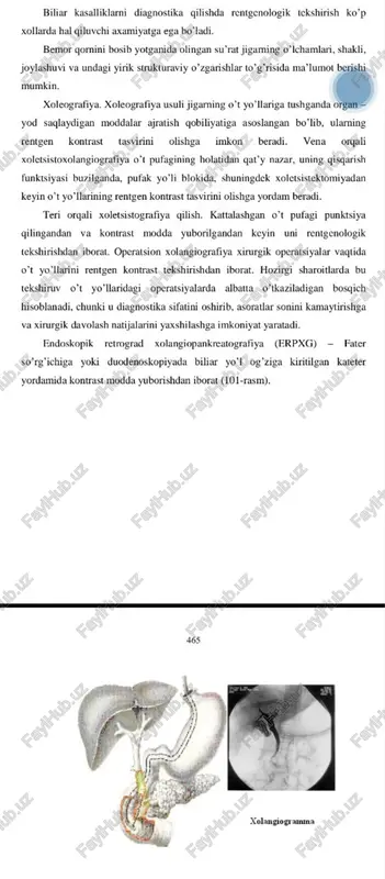 o’t pufagi va o’t yo’llari kasalliklari - Page 3