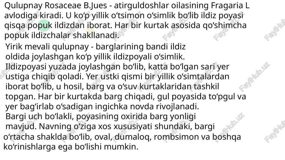 natijasida chiriydi. qulupnayni to‘g‘ri o‘tqazish uchun ildiz tizimining uzunligiga qarab kavlash, ko‘chatni chuqurga tushirgach, ildiz bo‘g‘ziga qadar tuproqqa ko‘mish kerak, so‘ngra ko‘chat o‘zini yaxshi tutishi uchun atrofidagi tuproqni bosib qo‘yish lozim. ildiz atrofida bo‘shliq qoldirmaslik kerak, aks holda u so‘lib, mog‘or bosib, chirib ketadi. o‘simliklarni joylashtirish o‘zbekistonda bir qatorlab ekish ko‘proq tarqalgan. ko‘chatlar qator orasi 70-80 sm, o‘simliklar oralig‘i 20-25 sm qilib ekiladi, shunda har 100 m2 yerga 500-714 tup yoki har m2 yerga 5-7 tup ko‘chat joylashadi.qatordagi oraliqni 10-15 sm gacha toraytirganda kelasi yili hosildorlik 80x25 sm. sxemasida ekilganiga nisbatan 1,5-2 baravar ko‘payadi, shuningdek ekishga ketadigan xarajatlar ham ortiq bo‘ladi. navlar tavsifnomasi yangi qulupnayzor barpo qilishda yaxshi nav tanlash yuqori hosil olishning asosiy shartlaridan biridir. yangi navning hosildor, sovuqqa chidamli, kasallik va zararkunandalarga chalinmaydigan bo‘lishiga ahamiyat beriladi, mevasining yirik, chiroyli, mazali, yangi uzilganda iste’mol qilishga ham, qayta ishlashga ham yaroqliligi, mevalarining pishish muddatlari aniq bo‘lishi, shuningdek, tarkibida vitamin va …