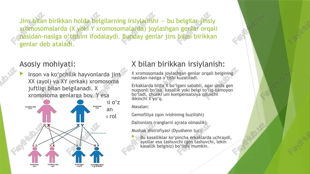 d ; aaxdxd ; aaxdxd aaxdy ; aaxdy ; aaxdy ; aaxdy javob : aaxdxd 2 belgisi bo’yicha kasal qiz image1.jpeg /docprops/thumbnail.jpeg