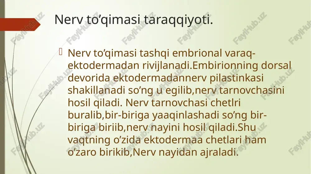 hi marta nissl tomonidan 1889- yilda aniqlangan. yorug‘lik mikroskopi ostida u chegaralari aniq ko‘rinmaydigan tuzilmalar bo’lib, nerv hujayrasining sitoplazmasi va dendritlarida joylashadi. neytritlarda esa bu modda bo‘imaydi. uning tuzilishi, shakli va joylashishi barcha hujayralarda bir xil emas. masalan, orqa miyaning motor hujayralarida xromatofil modda yirik noto‘g‘ri shaklda va yadroning atrofida zichroq, sitoplazmaning chetki image1.png /docprops/thumbnail.jpeg