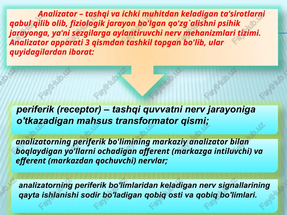 ; organik sezgilari; ranglar quyidagi turlarga ajratiladi: hromatik ranglar psihofiziologik qonunga ko'ra yorug`lik nurlari uchburchak shisha prizma orqali o'tib singanda hosil bo'ladigan rangga aytiladi va ularga kamalak ranglar, ya'ni qizil, zarg`aldoq, sariq, yashil, havo rang, ko'k, binafsha tuslarini qamrab oladi. ahromatik ranglar odatda oq rang, qora rang, kulrang va ularning turlicha ko'rinishlariga aytiladi. kolbachalar yordami bilan hromatik, ya'ni kunduzgi ranglar ko'riladi. tayoqchalar yorug`likni yahshi sezuvchan bo'lib, hira va qorong`u paytlarda o'z funksiyasini bajaradi, ahromatik ranglarni aks ettiradi. uch rangli sezgi nazariyasining asosiy qoidalari 1756 yilda m.v.lomonosov tomonidan bayon qilingan bo'lsa, 1856 yildan keyin nemis fizigi g.gelmgols tomonidan uni to'la isbotlab berilgan ushbu nazariyaga binoan to'r pardaning kolbachalarida uchta asosiy element mavjuddir, ulardan birining qo'zg`alishi qizil rang sezgisini, ikkinchi qo'zg`alishi yashil rang sezgisi va uchinchi qo'zg`alishi binafsha rang sezgisini hosil qiladi. nazariyaga ko'ra yorug`lik to'lqinlari birdaniga uchta elementni bir hilda qo'zg`atsa, oq rang sezgisi vujudga keladi. lekin yorug`lik to'lqinlari ikki yoki …