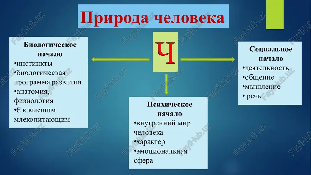 vajneyshie aspekti otlichiya cheloveka ot jivotnogo? 2. raskroyte ponyatie «obshestvo». 3. mojet li chelovek izmenit obshestvo? 4. chto vajnee: lichnie interesi ili interesi obshestva? 5. mojno li jit v obshestve i bit ot nego svobodnim? 6. mojet li chelovek stat lichnostyu v otrive ot obshestva? rekomenduemaya literatura: 1. mirzieyov, shavkat. buyuk kelajagimizni mard va olijanob xalqimiz bilan quramiz.– toshkent: “o‘zbekiston” nmiu, 2017. –488 b 2. mirziyoyev sh. tanqidiy tahlil, qat’iy tartib-intizom va shaxsiy javobgarlik – har bir faoliyatining kundalik qoidasi bo`lishi kerak. – t.: o‘zbekiston, 2017. 3. azizov sh. chelovek i obshestvo: uchebnik dlya akadem. litseev i prof. kolledjey /otvetstv. red. i. saifnazarov. — t.: «sharg», 2010 4. lichnost i obshestvo: teoreticheskie voprosi. prakticheskie zanyatiya: /s.mamashokirov, a.xukumov, m.lafasov. – t.: o’gituvchi, 2005 5. nasirxodjaev s., lafasov m., agzamxodjaeva s. osnovi duxovnosti. uchebnik dlya akademicheskix litseev i professionalnix kolledjey. – t.: izdatelstvo «tugon- iqbol», 2007. image6.png image7.png image8.png image9.png image10.png image11.png …