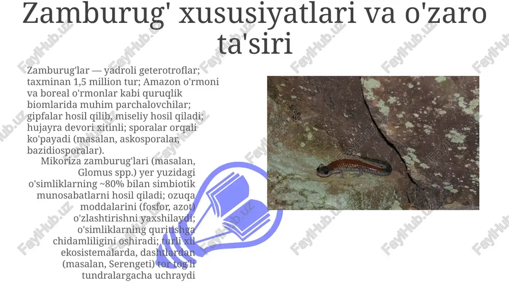 shash joylaridagi harorat farqlariga moslashgan termoregulyatsiya strategiyasini (masalan, sut emizuvchilarda endotermiya, sudralib yuruvchilarda ektotermiya) koʻrib chiqing tabiatni muhofaza qilish va barqarorlik o'simlik xususiyatlari va xilma-xilligi 01 02 yer yuzidagi tirik mavjudotlar ajoyib bioxilma-xillikni namoyon etadi; hayvon tiplari (bo'g'imoyoqlilar, xordalılar) ustunlik qiladi va turli yashash joylariga (masalan, mo''tadil o'rmonlar, savannalar) moslashgan. populyatsiya hajmi biotik (yirtqichlardan himoya, raqobat) va abiotik (harorat, yog'ingarchilik) omillarga bog'liq ravishda o'zgaradi organizm xususiyatlari trofik darajalarni (produtsentlar, konsumentlar, redutsentlar); omon qolishga moslashishlarni (kamuflyaj, migratsiya, qish uyqusi) o'z ichiga oladi, ular atrof-muhit bosimlariga qarab farq qiladi. turlar boyligi va tengligi ekosistema salomatligini belgilaydi; bioxilma-xillik indekslari (shannon, simpson) buni miqdoriy jihatdan ifodalaydi sales 1st qtr 2nd qtr 100 0 sales 1st qtr 2nd qtr 100 0 e'tiboringiz uchun rahmat @taqdimot_robot image4.jpg image5.jpg image6.jpg image7.jpg image8.jpg image9.jpg image10.jpg image11.jpg image12.jpg image13.jpg image14.jpg image15.jpg image1.jpeg image2.jpeg image3.jpeg
