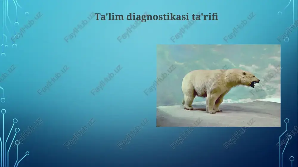 pg image2.png