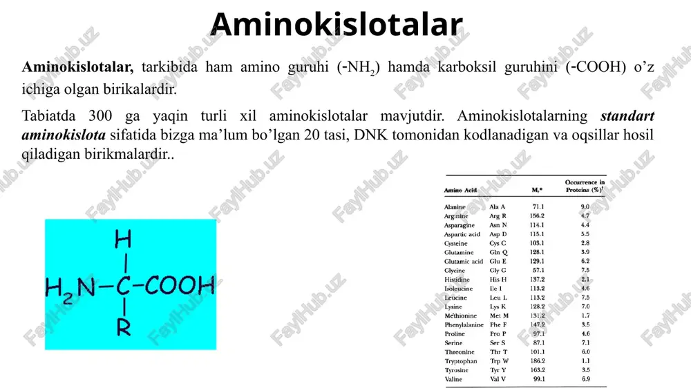 larini parchalaydi. elastaza, proelastaza shaklida sintezlanadi. proelastaza ham tripsin yordamida elastaza shakliga aylantiriladi. elastaza, elastindagi neytral alifatik zanjirli aminokislotalarni hosil qilgan peptid pog’larini parchalaydi – alanin, serin, glitsin karboksipeptidaza a, prokarboksipeptidaza a shaklida sintezlanadi. prokarboksipeptidaza a da tripsin yordamida faol bo’lgan karboksipeptidaza a shakliga aylantiriladi. karboksipeptidaza a, bir ekzopeptidazadir; oligopeptitlerning karboksil uchida aromatik ve alifatik zanjirli neytral aminokislotani hosil qilgan peptid boglarini va dipeptidlarini parchalaydi. karboksipeptidaza b, prokarboksipeptidaza b shaklida sintezlanadi. prokarboksipeptidaza b tripsin yordamida aktif bo’lgan karboksipeptidaza b shakliga aylantiriladi. karboksipeptidaza b, bir ekzopeptidazadir; oligopeptidlarning karboksil uchida arginin va lizin kabi ishqoriy aminokislotalarni hosil qilgan peptid bog’larini parchalaydi. endopeptidazalar, polipeptilarning ichki qismidagi(spetsifik) ma’lum bir aminokislotalarni parchalaydi(tripsin, ximotripsin, elastaza, pepsin). ekzopeptidazalar, polipeptid zanjiridagi uchki qismdan parchalaydi (aminopeptidazalar, karboksipeptidazalar). oshqozondan ingichka ichakka kelgan polipeptidlar, ingichka ichak lumeni ichida tripsin, kimotripsin, elastaza kabi endopeptidazalar va karboksipeptidaza a, karboksipeptidaza b, aminopeptidaza kabi ekzopeptidazalarning ta’sirida oligopeptidlarga va aminokislotalarga parchalanadi. hazm qilish kanalida oqsillarning gidrolitik …