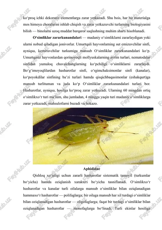 nivorlar. umurtqali hayvonlarning sut emizuvchilar sinfi, ayniqsa, kemiruvchilar turkumiga mansub oʻsimliklar zararkunandalari koʻp. umurtqasiz hayvonlardan qorinoyoqli mollyuskalarning ayrim turlari, nematodalar sinfidan yumaloq chuvalchanglarning koʻpchiligi oʻsimliklarni zararlaydi. boʻgʻimoyoqlilardan hasharotlar sinfi, oʻrgimchaksimonlar sinfi (kanalar), koʻpoyokdilar sinfining baʼzi turlari hamda qisqichbaqasimonlar (eshakqurt)ga mansub turlituman va juda koʻp oʻsimliklar zararkunandalari turlari bor. hasharotlar, ayniqsa, hosilga koʻproq zarar yetkazadi. ularning 60 mingdan ortiq oʻsimlikxoʻr turi maʼlum, shu jumladan, 4 mingga yaqin turi madaniy oʻsimliklarga zarar yetkazadi, mahsulotlarni buzadi va hokazo. aphididae qishloq xoʻjaligi uchun zararli hasharotlar sistematik tamoyil (turkumlar boʻyicha) hamda oziqlanish xarakteri boʻyicha tasniflanadi. oʻsimlikxoʻr hasharotlar va kanalar turli oilalarga mansub oʻsimliklar bilan oziqlanadigan hammaxoʻr hasharotlar — polifaglarga; bir oilaga mansub har xil turdagi oʻsimliklar bilan oziqlanadigan hasharotlar — oligofaglarga; faqat bir turdagi oʻsimliklar bilan oziqlanadigan hasharotlar — monofaglarga boʻlinadi. turli ekinlar hosiliga hammaxoʻr zararkunandalar: chigirtkasimonlar, baʼzi chirildoqlar, qoʻngʻizlardan qirsildoq (simqurtlar), qora qoʻngʻizlar (soxta simqurtlar) va boshqalar, kapalaklardan kuzgi tunlam, gʻoʻza tunlami, karadrina va …