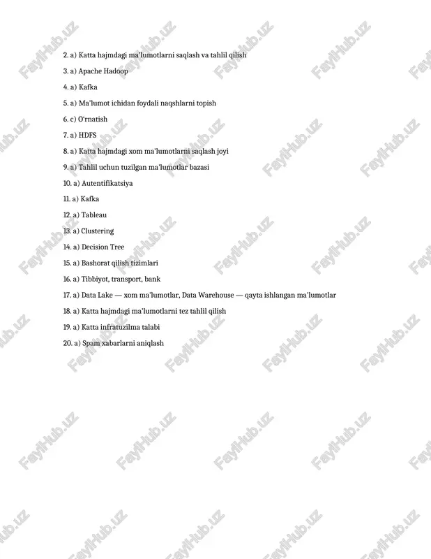 big data tizimi - Page 3
