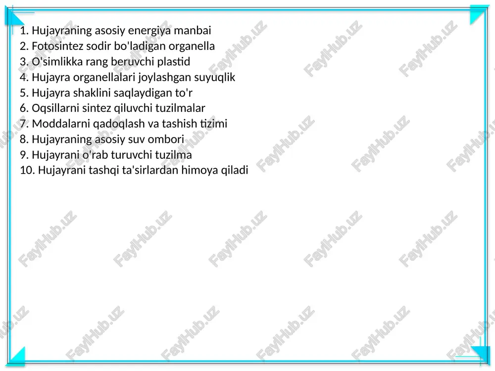 o'simlik huhayrasi - Page 3