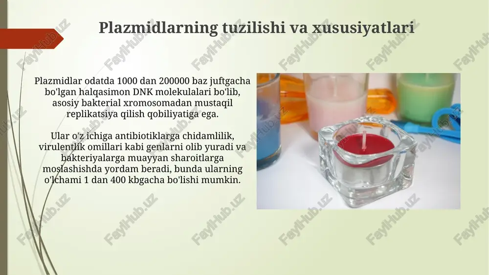 plazmidalar va ularning qoʻllanilishi - Page 3