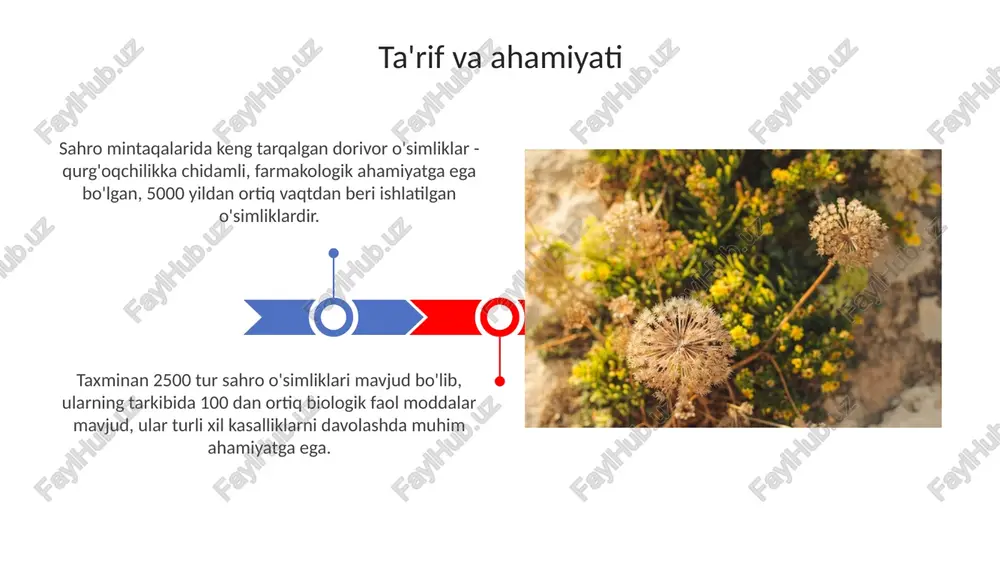 vegetativ ko'paytirish (qalamchalar) usullari ko'plab turlarni saqlab qolish uchun muhim ahamiyatga ega, masalan, 20% ko'payishni ta'minlaydi. o'simliklarni muhofaza qilish, tabiiy muhitni himoya qilishni va nazorat qilishni o'z ichiga oladi, shu jumladan o'tlashni boshqarish, tuproq eroziyasini kamaytirish va 30% dan ortiq yo'qolish xavfi ostida bo'lgan turlarni reabilitatsiya qilish. tadqiqot istiqbollari kelajakdagi tadqiqotlar desert o'simliklarining genetik turliligini va ularning farmakologik faolligi bilan aloqasini aniqlashga qaratilishi kerak, jumladan yangi allellarni aniqlash orqali. desert o'simliklarining moslashuvchanlik mexanizmlarini, masalan, osmotik stressga qarshiligini o'rganish orqali suv tanqisligi sharoitida o'simliklarni yetishtirishning innovatsion usullarini ishlab chiqish mumkin. xulosa oʻrganilgan oʻsimliklarning 70% dan ortigʻi flavonoidlar va terpenoidlar kabi muhim fitokimyoviy moddalarni oʻz ichiga oladi, bu ularning farmakologik taʼsirini belgilaydi. oʻtkazilgan tadqiqotlar natijasida 15 ga yaqin oʻsimlik turining anʼanaviy tibbiyotda qoʻllanilishi ilmiy jihatdan asoslandi va zamonaviy tibbiyotga tatbiq etish imkoniyati koʻrsatildi. e'tiboringiz uchun rahmat image3.jpg image4.jpg image5.jpg image6.jpg image7.jpg image8.jpg image9.jpg image10.jpg image11.jpg image12.jpg image13.jpg image14.jpg image1.jpeg image2.jpeg