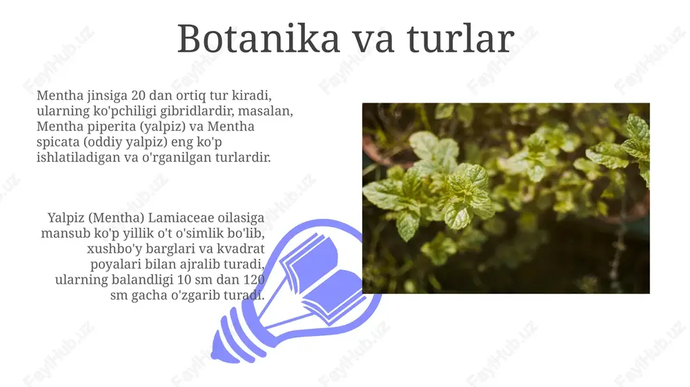 z antikoagulyantlar bilan birgalikda ishlatilganda qon ketish xavfini oshirishi mumkin, chunki ularning ikkalasi ham qonning quyilishiga ta'sir qilishi mumkin, ayniqsa yuqori dozalarda iste'mol qilinganda. saqlash va ishlatish quritilgan yalpiz barglarini quruq, salqin joyda, havo o'tkazmaydigan idishda 12 oy davomida saqlash tavsiya etiladi, shu bilan uning efir moylari va terapevtik xususiyatlarini saqlab qolish mumkin. yangi yalpizni ishlatishdan oldin yaxshilab yuvish kerak, ayniqsa uni bevosita oziq-ovqatga qo'shganda, chunki u erda pestitsidlar yoki ifloslantiruvchi moddalar bo'lishi mumkin. xulosa 01 02 xulosa qilib aytganda, yalpiz va yalpiz tarkibidagi mentol, menton kabi 30 dan ortiq kimyoviy birikmalar terapevtik xususiyatga ega ekanligi ilmiy jihatdan isbotlangan. sales 1st qtr 2nd qtr 100 0 sales 1st qtr 2nd qtr 100 0 e'tiboringiz uchun rahmat image4.jpg image5.jpg image6.jpg image7.jpg image8.jpg image9.jpg image10.jpg image11.jpg image12.jpg image13.jpg image14.jpg image15.jpg image1.jpeg image2.jpeg image3.jpeg