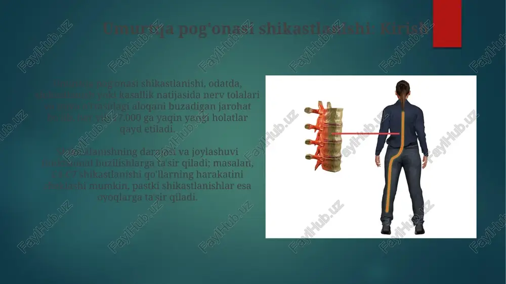 yropatik og'riqni davolash uchun gabapentin va pregabalin kabi antikonvulsantlar qo'llaniladi. jarrohlik aralashuvi jarrohlik aralashuvi suyak sinishlarini bartaraf etish, umurtqa pog'onasini stabillashtirish va nerv kompressiyasini kamaytirish orqali qon tomirlariga bosimni kamaytirishga qaratilgan. operatsiya orqali shikastlangan orqa miya to'qimasini tiklash yoki almashtirish mumkin emas, ammo 8 soat ichida o'tkazilgan jarrohlik keyingi zararni oldini olishga yordam beradi. reabilitatsiya va fizioterapiya reabilitatsiya dasturlari shaxsiy ehtiyojlarga moslashtirilgan, masalan, tetraplegiya uchun qo'l funktsiyasini tiklash bo'yicha intensiv terapiya, bemorning imkoniyatlarini maksimal darajada oshiradi. fizioterapiya spinal shikastlanishdan keyin mushaklarning atrofiyasini kamaytirish, qon aylanishini yaxshilash va kontrakturalarning oldini olish uchun muhim rol o'ynaydi va erta boshlanishi kerak. psixologik yordam va maslahat psixologik yordam, ayniqsa dastlabki 6-12 oyda, umurtqa pog'onasi jarohati oqibatida yuzaga kelgan depressiya va xavotirni kamaytirishga qaratilgan individual terapiyani o'z ichiga oladi. oilaviy psixologik maslahatlashuvlar nafaqat bemorga, balki uning yaqinlariga ham moslashish va yangi vaziyatni tushunishga yordam beradi, bu esa 30-40% ga samaradorlikni oshiradi. umurtqa pog'onasi shikastlanishi bilan …