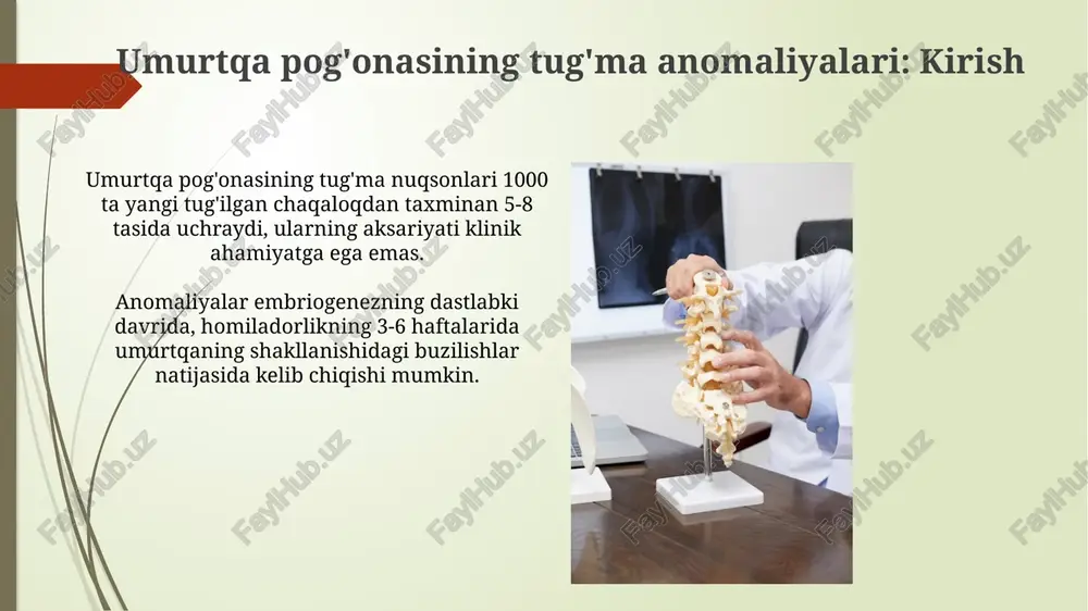 umurtqa pog'onasining tug'ma nuqsonlari - Page 3
