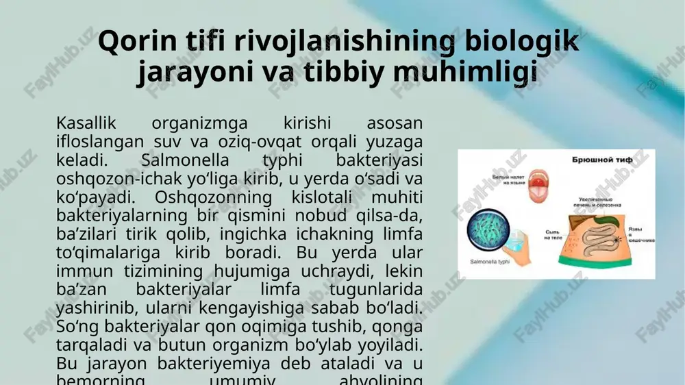 iri qorin tifi har qanday yoshdagi odamda uchrashi mumkin bo‘lsa-da, bolalar va yoshlarning organizmi bu kasallikka boshqacha ta’sir ko‘rsatadi. yoshga bog‘liq fiziologik xususiyatlar va immun tizimining holati kasallikning kechishi, belgilarining ko‘rinishi hamda sog‘liq holatiga ta’sir ko‘rsatadi. shu bois qorin tifining yoshga xos belgilarini va uning umumiy sog‘liq holatiga qanday ta’sir qilishi haqida tushuncha berish muhimdir. bolalarda qorin tifi ko‘pincha tezroq va kuchliroq kechadi. yosh bolalarning immun tizimi hali to‘liq shakllanmaganligi sababli, bakteriyalarni zararsizlantirish qobiliyati past bo‘ladi. natijada kasallikning alomatlari tez paydo bo‘ladi va ko‘pincha og‘ir kechadi. bola organizmida isitma, bosh og‘rig‘i, kuchsizlanish, ishtahaning pasayishi, ko‘ngil aynishi, qusish va diareya kabi belgilar yuzaga chiqadi. ba’zan diareya o‘rniga qattiq ich qotishi ham kuzatiladi, bu esa bolalarda organizmning suyuqlik va minerallarga bo‘lgan ehtiyojini oshiradi. suvsizlanish va umumiy zaiflik yosh bolalarda ayniqsa xavflidir, chunki bu holat tezda o‘zining salbiy oqibatlarini keltirib chiqaradi. xulosa qorin tifi har bir yosh guruhida o‘ziga xos belgilar va sog‘liqka …