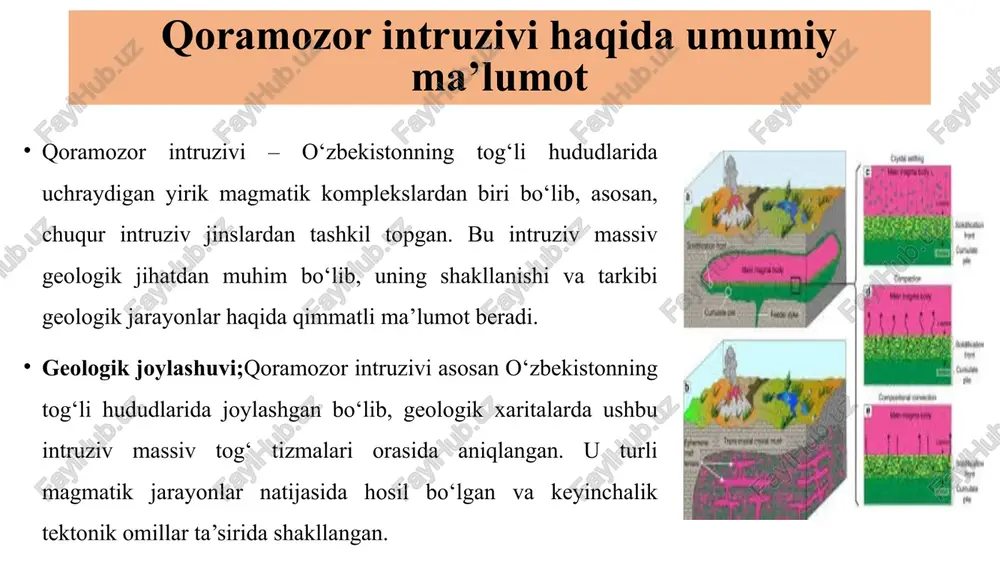 igi-jinslarning donadorligi hosil bo‘lish sharoitiga bog‘liq: yirik donador – magmaning sekin sovishi natijasida shakllangan bo‘lib, katta plagioklaz va piroksen kristallarini hosil qiladi. mayda donador – ayrim joylarda magmaning tezroq sovishi yoki metamorfizm natijasida mayda kristall tuzilish hosil bo‘lishi mumkin. shishasimon – bu intruziv jinslar uchun xos emas, chunki ular chuqurda hosil bo‘lib, to‘liq kristallanadi. 3. holokristalin yoki gipokristalin tuzilish holokristalin – qoramozor intruzivining aksariyat jinslari butunlay kristallangan bo‘lib, minerallarning aniq ko‘rinishi mavjud. gipokristalin – ayrim jinslar qisman shishasimon yoki noaniq kristall tuzilishga ega bo‘lishi mumkin, lekin intruziv jinslar orasida bunday holatlar kam uchraydi. 4. jinslarning qatlamlanishi va yo‘nalishi.qoramozor intruzivi tarkibidagi jinslar odatda massiv tuzilishga ega, ya’ni qatlamlanish uncha yaxshi ifodalanmagan. biroq, ba’zi joylarda magmatik differensiallanish tufayli minerallar tarkibiy qatlamlanish hosil qilishi mumkin. shuningdek, intruziv jinslarning yo‘nalishi tektonik kuchlar ta’sirida o‘zgarishi mumkin, natijada ularning minerallar joylashuvi muayyan yo‘nalishga ega bo‘lishi kuzatiladi. qoramozor intruzivining kimyoviy tarkibi qoramozor intruzivi tarkibida silikat minerallari ustunlik …