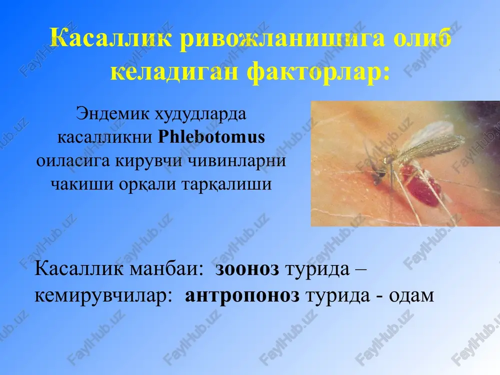 unchali pilakchalar - nevritlar, ter ajralishi, og'riqli, taktil buzilishlar limfa tugunlari kattalashishi, orxiepidedimitlar. moxovning differentsiyalanmagan turi aniq chegarali eritematoz-skvamoz va disxromik dog'lar, ter ajralishining buzilishi, qosh va kipriklarning to'kilishi, tirnoqlar atrofiyasi, bo'g'imlar atrofida pufaklar, yaralar, mayda suyaklar sekvestratsiyasi, mutilyatsiya, yuz mushaklari amiotrofiyasi, nevritlar, paresteziya, taktil og'riqlar, harorat sezgisining buzilishi. davolash va tekshiruv usullari nevrologik statusni tekshirish. funktsional sinamalar. bakterioskopiya. gistologik tekshiruv. sulfon preparatlari: diaminodifenilsulfon (dds) . antibiotiklar: ftorxinolonlar, makrolidlar, tetratsiklinlar v, s guruh vitaminlar, nikotin kislota gepatoprotektorlar vitiligo – aniq chegarali, atrofi giperpigment hoshiyali va periferik o'sishga moil oq dog'lar paydo bo'lishi bilan kechuvchi surunkali dermatoz. klassifikatsiya: chegaralangan (3%dan ko'p bo'lmagan) a) fokal b) segmentar tarqoq (3-10%) generalizatsiyalashgan ( 10% yukori) setton kasalligi kasallikka sabab buluvchi faktorlar: stress intoksikatsii jigar kasalliklari endokrin ksalliklari immunodefitsit xolat irsiy moillik chegaralangan (3%dan ko'p bo'lmagan) a) fokal b) segmentar ‹#› tarqoq (3-10%) generalizatsiyalashgan (10% yukori) settona kasalligi kasallikning aktivlik darajasi vida (vitiligo desease acnivity) …