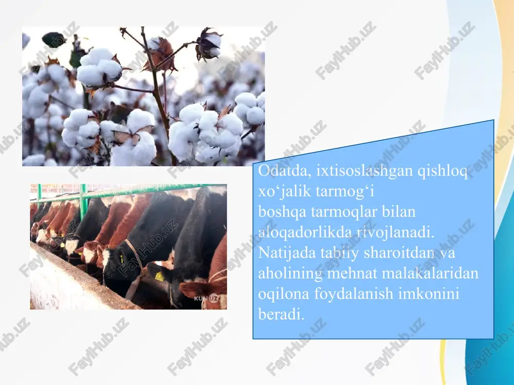 taqdimot - Page 3