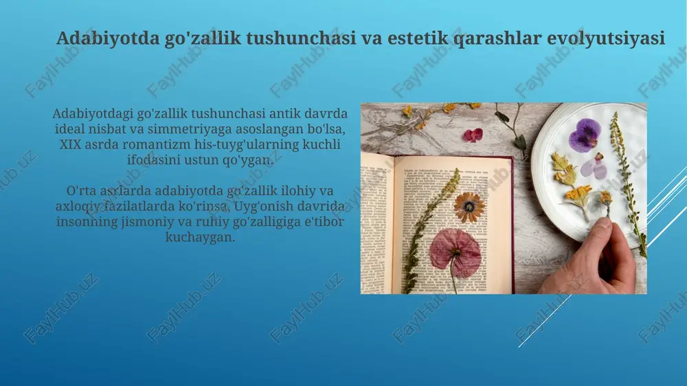 adabiyotdagi go'zallik tushunchasi - Page 3