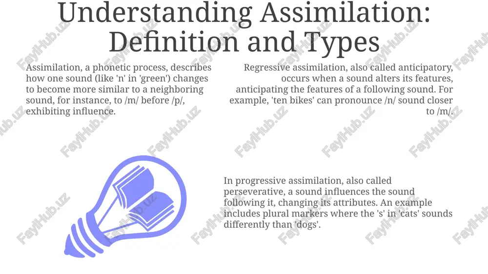 understanding assimilation: definition and types - Page 3