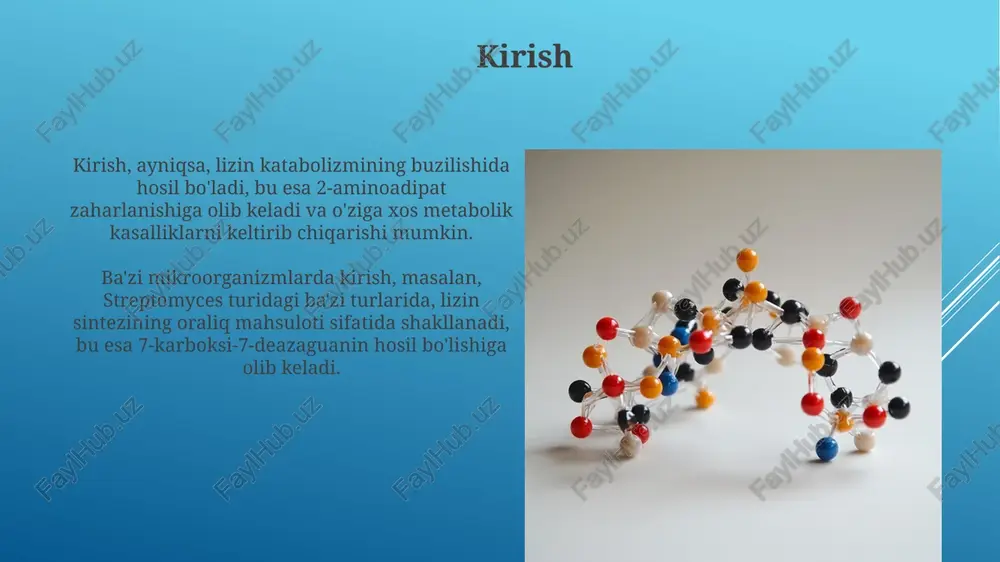 a muhim rol o'ynaydi. formiminoglutamat (figlu) gistidin metabolizmining oraliq mahsulotidir; foliy kislotasi yetishmovchiligida figlu siydikda to'planib qoladi, bu diagnostik ahamiyatga ega. glisin metabolizmi xususiyatlari glitsin purin halqasining prekursoridir, uglerod va azot atomlarini ta'minlaydi, bu dnk va rnk sintezi uchun muhim bo'lgan 5-aminoimidazol-4-karboksamid ribonukleotidning shakllanishida ishtirok etadi. glitsin glyoksilatga aylanadi, keyin esa oksalatga metabolizmga uchraydi; ortiqcha oksalat kaltsiy oksalat toshlarining shakllanishiga olib kelishi mumkin, bu esa giperoksaluriya deb ataladi. serin metabolizmi xususiyatlari serin metabolizmi bir karbonli fragmentlarning tashuvchisi bo'lgan tetrahidrofolat (thf) orqali purin va timidilat biosintezida muhim rol o'ynaydi. serin glisin sintezida ishtirok etadi, bu jarayonda serin gidroksimetiltransferaza fermenti serinni glisinga aylantiradi va thf bilan birga ishlaydi. treonin metabolizmi xususiyatlari treonin metabolizmi glitsin va seringa aylanishni o'z ichiga oladi, bu esa folatga bog'liq fermentlar orqali bir uglerodli bo'laklarning hosil bo'lishiga olib keladi. treonin degidrataza fermenti treoninni α-ketobutiratga aylantiradi, bu esa keyinchalik suktsinil-koa ga metabolizmga uchraydi, bu krebs siklining bir qismidir. aspartat …
