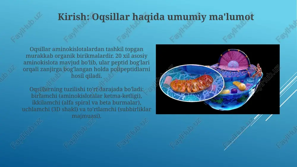 oqsillar tuzilishi - Page 3