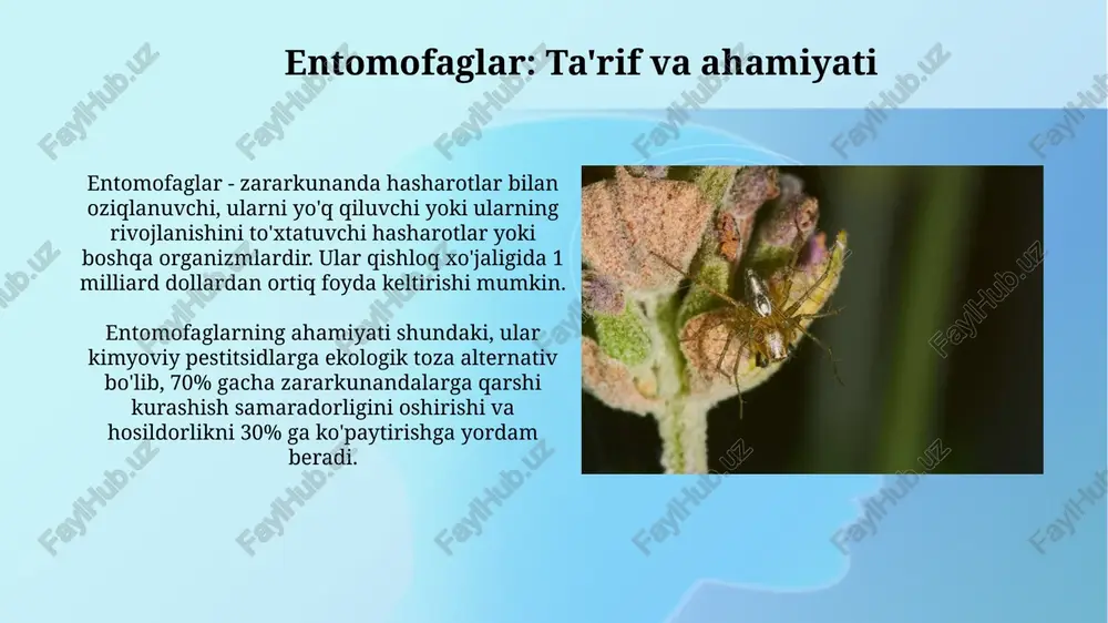 li og'ishlar zararkunandalarning stressini ko'rsatishi mumkin. xarajatlarni tahlil qilish xarajatlarni tahlil qilish jarayonida oziq-ovqat xarajatlari (masalan, 1 kg sun'iy ozuqa narxi), laboratoriya xarajatlari va ishchi kuchi sarfini hisobga olish zarur. entomofaglarni ko'paytirishning iqtisodiy samaradorligini baholash uchun 1000 ta entomofag yetishtirish narxini hisoblab, uni kimyoviy ishlov berish xarajatlari bilan taqqoslash lozim. xavfsizlik choralari xodimlar shaxsiy himoya vositalaridan (ppe), jumladan, qo'lqoplar, niqoblar va laboratoriya xalatlaridan foydalanishlari shart, chunki hasharotlar allergenlari yoki biologik agentlar xavfi mavjud. entomofaglar ko'paytiriladigan laboratoriyalar biologik xavfsizlik darajasi 2 (bsl-2) talablariga javob berishi kerak, bu esa avtoklavlar, xavfsizlik kabinetlari va dezinfeksiya protokollarini o'z ichiga oladi. miqyosni kengaytirish miqyosni kengaytirishda, bosqichma-bosqich yondashuvni qo'llang, dastlabki kichik ko'paytirishdan keyin 2-3 barobar kattaroq hajmga o'tish orqali resurslar va infratuzilmani optimallashtiring. entomofaglarni ko'paytirish miqyosini oshirishda, har bir 6-12 oyda ishlab chiqarish hajmini 25-50 foizga oshirish orqali o'sish sur'atini ehtiyotkorlik bilan boshqarish kerak. entomofaglarni chiqarish strategiyalari entomofaglarni chiqarish miqdori zararkunanda zichligiga bog'liq bo'lib, odatda har …
