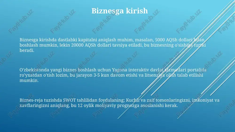 biznesga kirish - Page 3