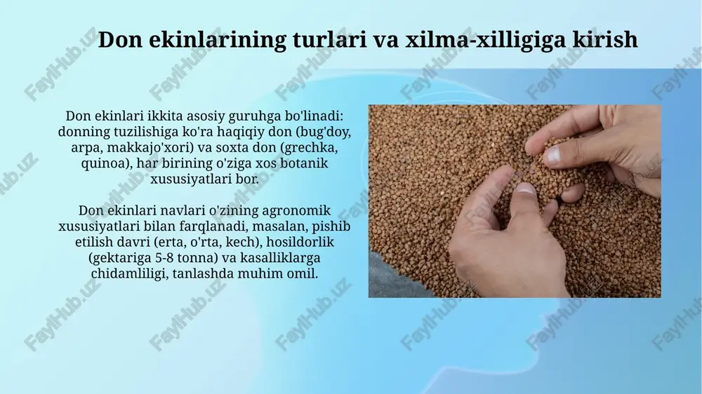 a qilish arpani zararkunandalaridan himoya qilishda "aktara 25 wg" (0.2 kg/ga) preparati samarali bo'lib, o'simlikni trips, shira va barg burga kabi zararkunandalardan himoya qiladi. arpa donining qora kuya kasalligiga qarshi kurashishda urug'ni ekishdan oldin "vitavax 200 ff" (2.5 l/t) preparati bilan dorilash yuqori natija beradi. arpa hosilini yig'ishtirish va saqlash arpa hosilini yig'ishtirishda optimal muddat juda muhim; 14-16% namlikdagi donni yig'ishtirish sifati yuqori bo'lib, donning yo'qolishini kamaytiradi. saqlash jarayonida arpa donini harorat va namlikning keskin o'zgarishidan himoya qilish kerak, chunki bu mikroorganizmlar rivojlanishiga sabab bo'lishi mumkin. arpani qayta ishlash va undan foydalanish sohalari arpani qayta ishlashda uni maltlash muhim. bu jarayon don tarkibidagi kraxmalni 10 dan 20% gacha fermentlar yordamida shakarga aylantiradi, pivo ishlab chiqarish uchun asos yaratadi. arpadan olinadigan yorma, masalan, perlovka va arpa yormasi, tarkibida 10-15% protein va ko'p miqdorda tola bo'lib, parhez ovqatlanishda qimmatlidir va sog'lom ovqatlanish uchun foydalidir. oziq-ovqat sanoatida arpadan foydalanish arpa unidan non va …