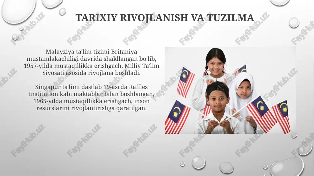 malayziya va singapur ta'lim tizimi - Page 3