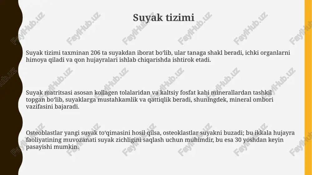 suyak tizimi - Page 3