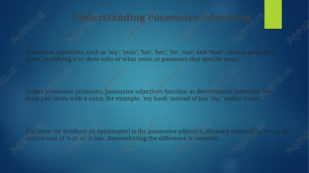possessive adjectives and pronouns - Page 3