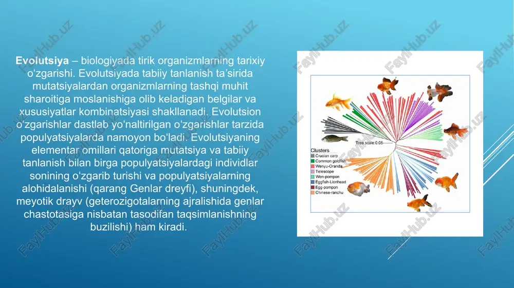 volyutsiyaga material yetkazib beruvchi, uzgaruvchanlikni hosil qiluvchi va evolyutsiyani hamisha borishini ta'minlab turuvchi mutatsiyalar) yuqoridagilardan organizm tomonidan sezilmasligi bilan farqlanadi. bu xildagi mutatsiyalar tirik olam tarkibidagi barcha individlarda tuxtovsiz ravishda yoppasiga xamma turlarni kamrab olgan holda sodir bo'ladi (boshqacha qilib aytganda, yer yuzida mayda mutatsiyalar ta'sirida bo'lmagan biror bir jonivor yuk). irsiyatning asosiy saklovchisi va nasldan naslga o'tkazuvchisi bo'lgan dnk molekulasida utuvchi mayda mutatsiyalar dnk molekulasi orbitalaridagi elektronlarni almashib qolishi, bir orbitadan ayrim elektronni kushni orbitaga (undan yadroga yaqinrok bo'lganiga yoki uziga nisbatan yuqorirok turgan orbitaga) utishi kabi holatlarni o'z ichiga oladi. e’tiboringiz uchun raxmat! image1.jpeg image2.jpeg image3.jpeg image4.png image5.jpeg image6.png image7.jpeg /docprops/thumbnail.jpeg