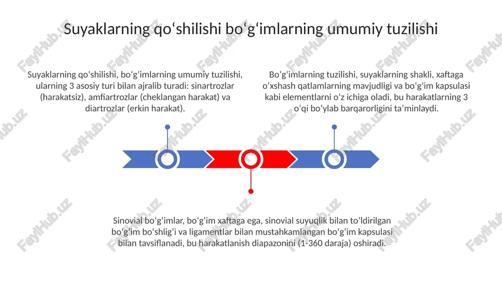 suyaklarning qo'shilishi - bo'g'imlarning umumiy tuzilishi - Page 3