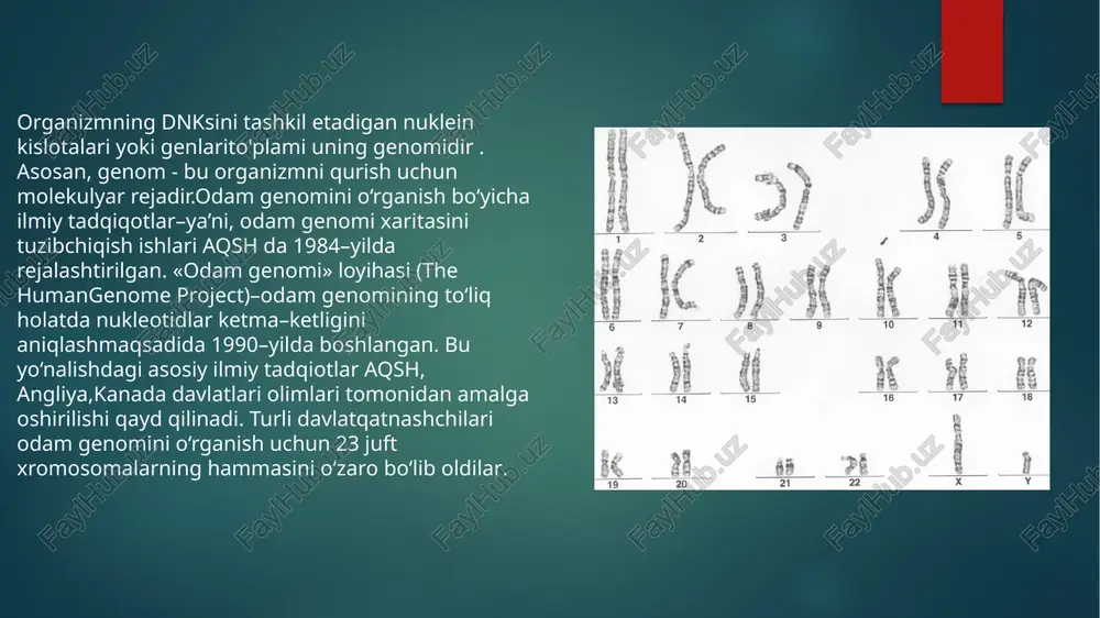 adqiqotlarni yanadarivojlantirishga imkon berdi.shaxsiylashtirilgan tibbiyot: genomni o‘rganish orqalishaxsiylashtirilgan tibbiyot rivojlandi, ya'ni, bemorning genetikasiga asoslangan davolashusullari ishlab chiqilmoqda.bioteknologiya va farmatsevtika: genetik ma'lumotlar tahlili orqaliyangi dori vositalarini yaratish va biotexnologik mahsulotlarni ishlab chiqish imkoniyatiyaratildi.genomni tahlil qilish: genomni o‘rganish orqali insonning evolyutsiyasi, biologikxususiyatlari va turli kasalliklarga qarshi qanday moyilligi haqida ko‘proq ma'lumot olindi e’tiboringiz uchun raxmat! image6.jpeg image7.jpeg image8.jpeg image9.jpeg image10.jpeg image11.jpeg image12.jpeg image2.png image3.png image4.png image5.png /docprops/thumbnail.jpeg