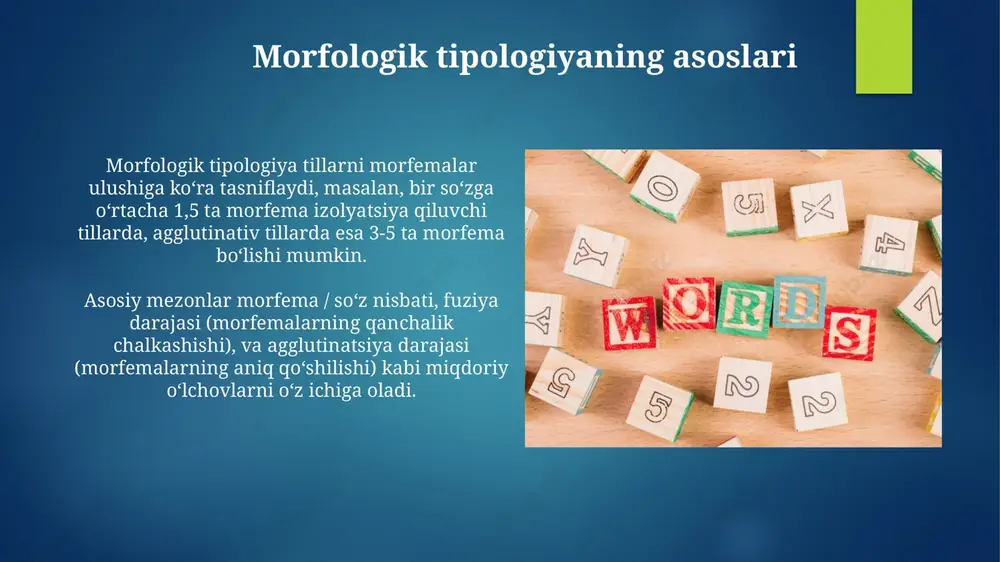 tillarning morfologik tasnifi - Page 3