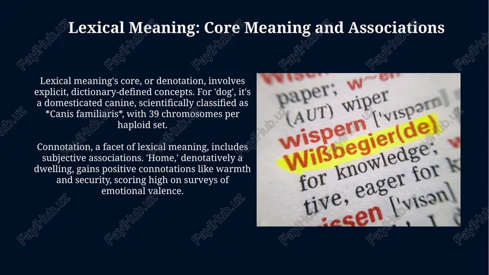 types of word meaning: lexical and grammatical meaning - Page 3