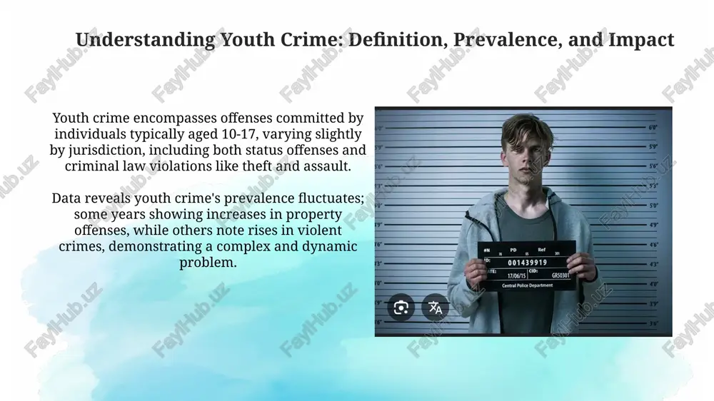 understanding youth crime: definition, prevalence, and impact - Page 3