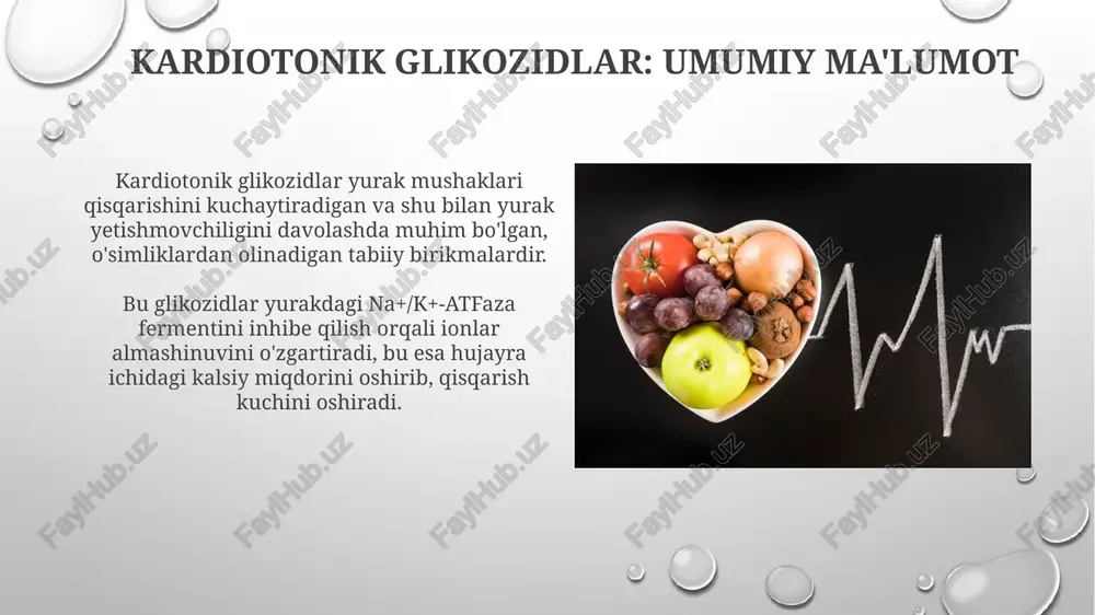 kardiotonik glikozidlar - Page 3