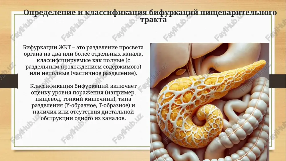 bifurkatsiya pishevaritelnogo trakta - Page 3