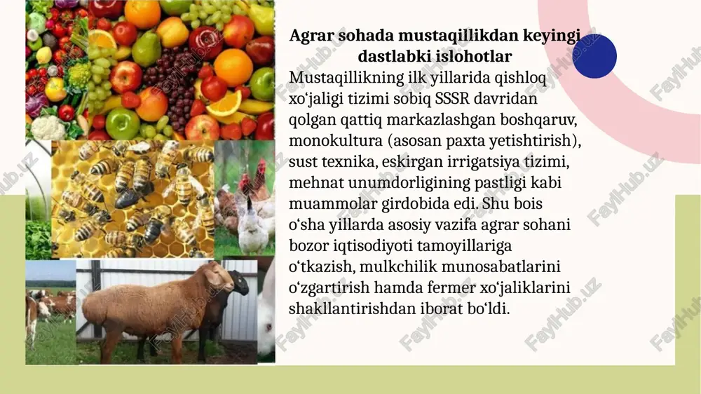 bog‘dorchilik tizimlari keng joriy etildi. suv taqchilligi sharoitida suvdan samarali foydalanish iqtisodiyati shakllantirildi. ayniqsa, 2017 yildan boshlab suv xo‘jaligi tizimining to‘liq isloh qilinishi, xalqaro loyihalar asosida kanallarni rekonstruksiya qilish jarayonlari amalga oshirildi. mustaqillikning dastlabki yillarida o‘zbekiston iqtisodiyoti asosan xomashyo yetkazib beruvchi tarmoqlarga tayanar edi. buni o‘zgartirish uchun “bosqichma-bosqich modernizatsiya” modeli qabul qilindi. 1990-yillardan boshlab yengil sanoat, neft-gaz sanoati, avtomobilsozlik, qurilish materiallari, kimyo va farmatsevtika sohalari rivojlantirildi.sanoatning asosiy poydevorlaridan biri sifatida 1996 yilda asakadagi ilk avtomobil zavodi ishga tushirilgan bo‘lib, bu o‘zbekiston tarixidagi eng yirik sanoat loyihalaridan biri bo‘ldi. yengil sanoat korxonalari, ip-kalava fabrikalari, to‘qimachilik klasterlari tashkil etildi. 2010-yillardan boshlab sanoatni hududlar bo‘yicha rivojlantirish siyosati kuchaytirildi. erkin iqtisodiy zonalar, kichik sanoat zonalari, texnoparklar tashkil etildi. bu hududlarda soliq imtiyozlari, bojxona yengilliklari berilib, xorijiy investitsiyalar keng jalb qilina boshlandi. sanoat klasterlari orqali ishlab chiqarish va qayta ishlash tizimi yagona zanjirga birlashtirildi. qishloq xo‘jaligida ham “paxta-to‘qimachilik klasterlari” joriy qilinishi eksport hajmini bir necha …