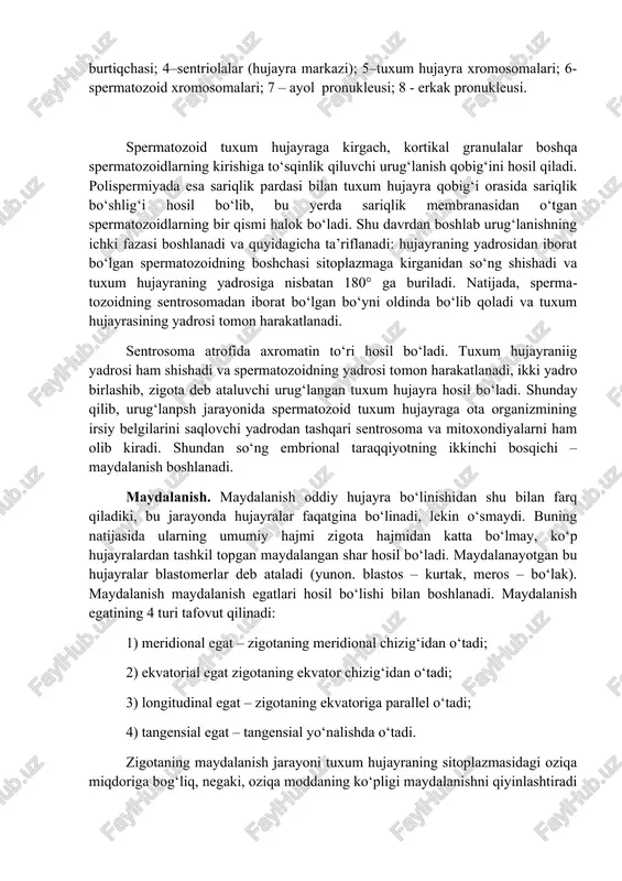 larning qo‘shilishi; g - maydalanishni boshlanishi: 1–tuxum hujayra yadrosi; 2– spermatozoid yadrosi; 3– qo‘shilish burtiqchasi; 4–sentriolalar (hujayra markazi); 5–tuxum hujayra xromosomalari; 6- spermatozoid xromosomalari; 7 – ayol pronukleusi; 8 - erkak pronukleusi. spermatozoid tuxum hujayraga kirgach, kortikal granulalar boshqa spermatozoidlarning kirishiga to‘sqinlik qiluvchi urug‘lanish qobig‘ini hosil qiladi. polispermiyada esa sariqlik pardasi bilan tuxum hujayra qobig‘i orasida sariqlik bo‘shlig‘i hosil bo‘lib, bu yerda sariqlik membranasidan o‘tgan spermatozoidlarning bir qismi halok bo‘ladi. shu davrdan boshlab urug‘lanishning ichki fazasi boshlanadi va quyidagicha ta’riflanadi: hujayraning yadrosidan iborat bo‘lgan spermatozoidning boshchasi sitoplazmaga kirganidan so‘ng shishadi va tuxum hujayraning yadrosiga nisbatan 180° ga buriladi. natijada, spermatozoidning sentrosomadan iborat bo‘lgan bo‘yni oldinda bo‘lib qoladi va tuxum hujayrasining yadrosi tomon harakatlanadi. sentrosoma atrofida axromatin to‘ri hosil bo‘ladi. tuxum hujayraniig yadrosi ham shishadi va spermatozoidning yadrosi tomon harakatlanadi, ikki yadro birlashib, zigota deb ataluvchi urug‘langan tuxum hujayra hosil bo‘ladi. shunday qilib, urug‘lanpsh jarayonida spermatozoid tuxum hujayraga ota organizmining irsiy …
