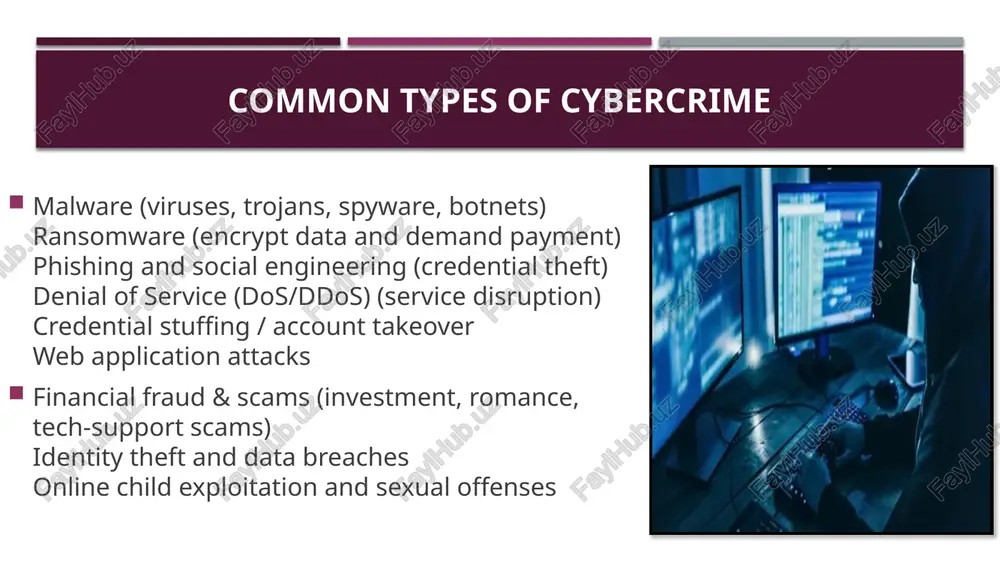 cybercrime: how hackers break the law - Page 3